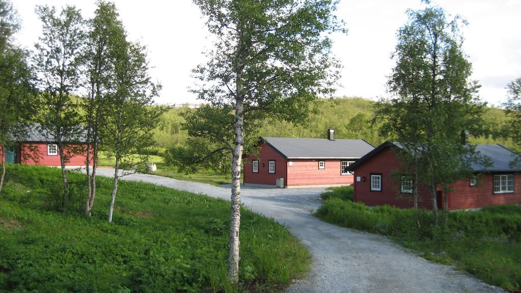 Liseth Og Hyttetun Eidfjord